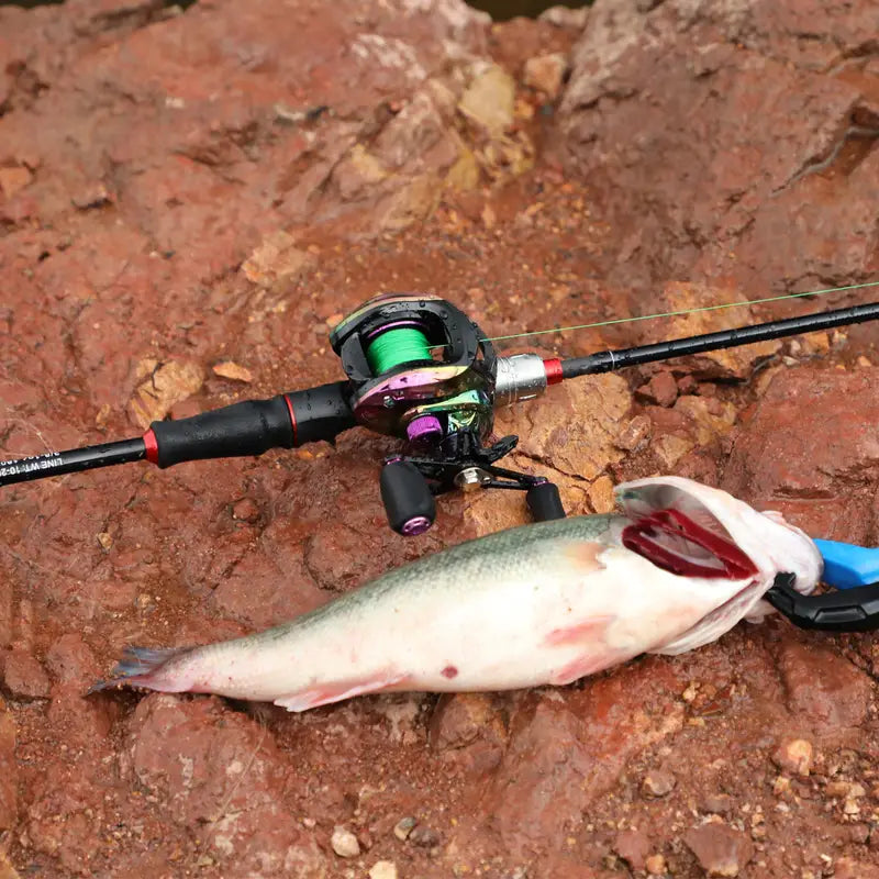 Conjunto de equipamentos de pesca Sougayilang, incluindo vara de pesca de fibra de carbono de 6 pés/1,8 m em 5 seções, carretel de pesca com relação de engrenagem colorida de 7,2:1, linha de pesca, isca de pesca e outros acessórios